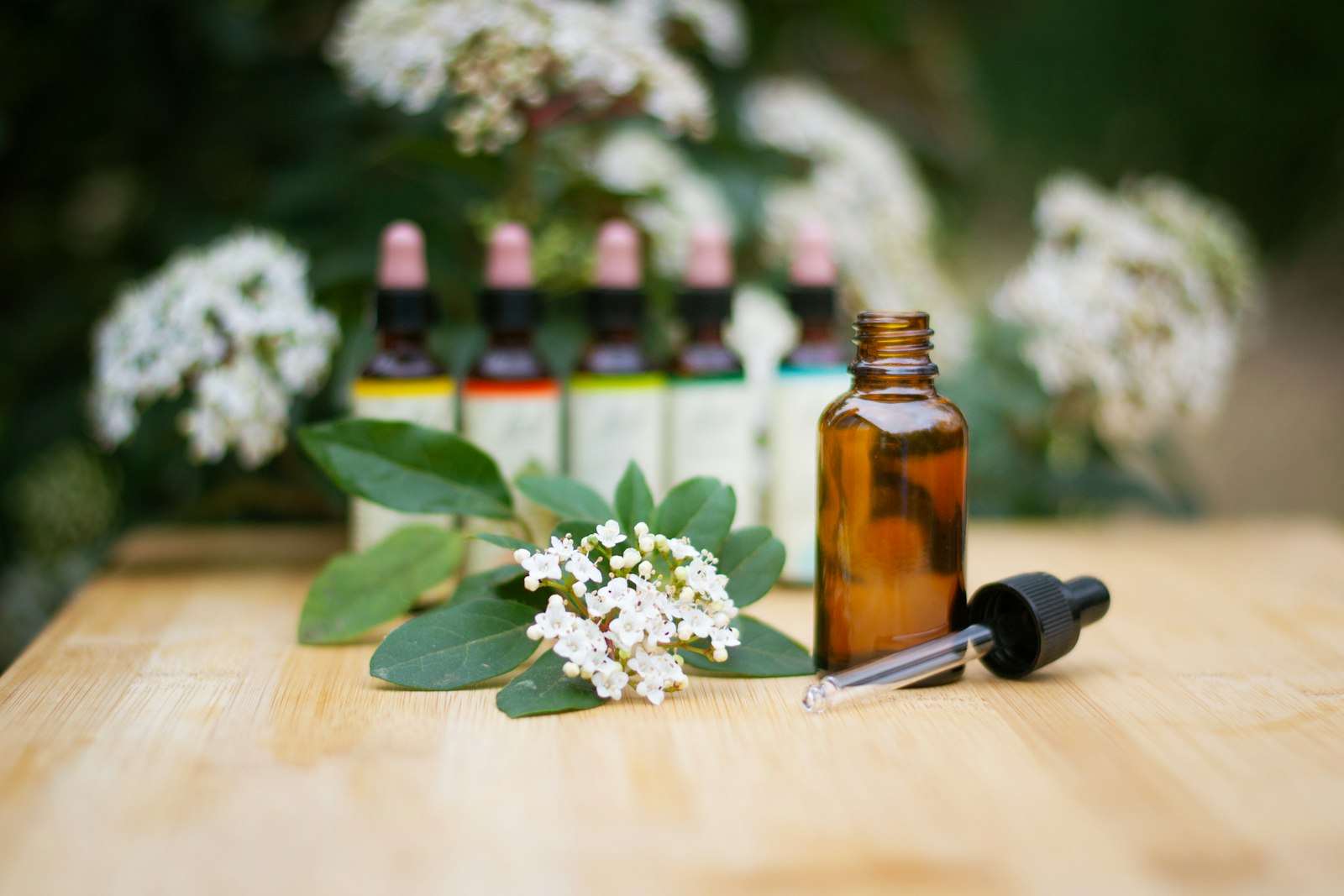 Un flacon d'huile essentielle entouré de fleurs blanches et de feuillage